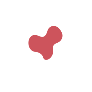 88f3b47a-placeholder-1770028859