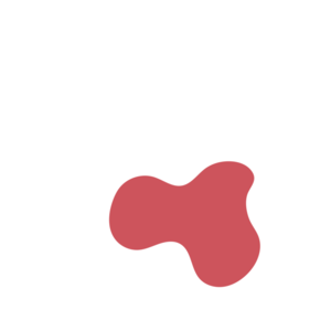 A84b8ce8-placeholder-1770021998