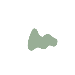 6f0a26a9-placeholder-1770051914