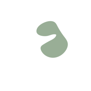 D69dd430-placeholder-1770012214