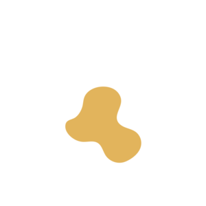 7a68443f-placeholder-1770019888