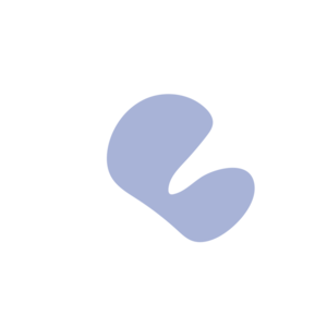 0b80c896-placeholder-1770018105