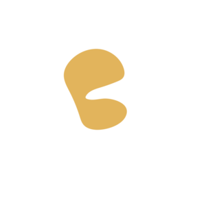 C9336976-placeholder-1770029752