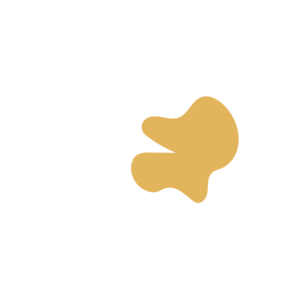 Df20af20-placeholder-1770016116