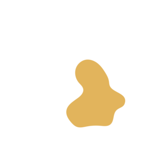 E1cef12f-placeholder-1770029983