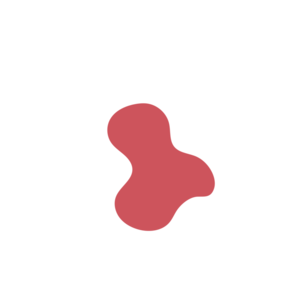 C85fdd49-placeholder-1769789522