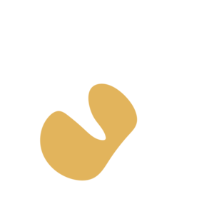 2d507e23-placeholder-1769452193