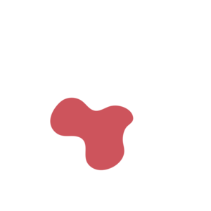 D8c2a05e-placeholder-1768983315