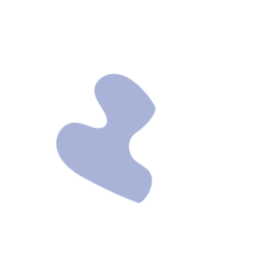 Fc09f045-placeholder-1770017817