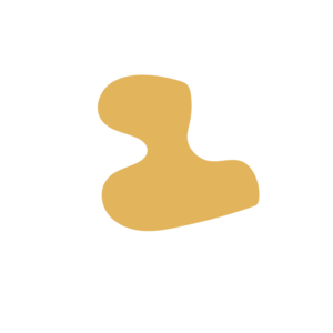 1ba9bb24-placeholder-1770015252