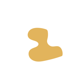 8e5c4d6e-placeholder-1770054634