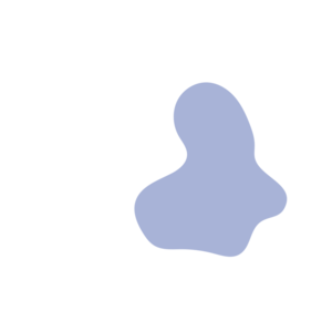 902b2942-placeholder-1769995782