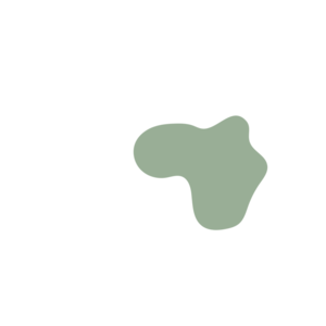 873e3945-placeholder-1770032068