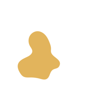 D1749100-placeholder-1770049432