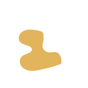 21b45214-placeholder-1770006056