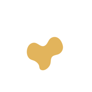 78e2010b-placeholder-1770017673