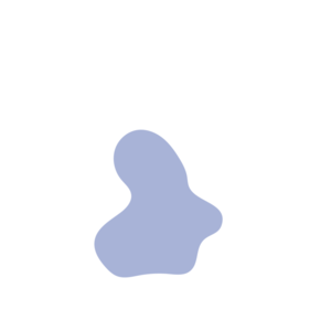 Adaf688c-placeholder-1770021278