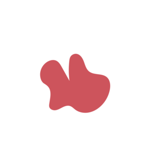 1111416c-placeholder-1770013061