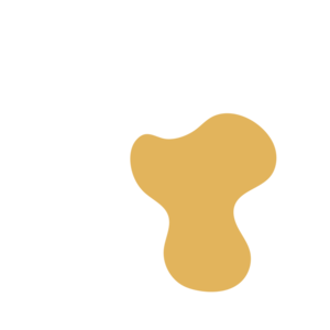 Caf7348f-placeholder-1770013262