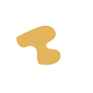 Ff98e86d-placeholder-1770018960