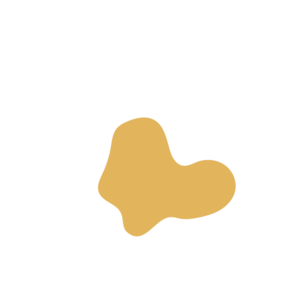 604c12c5-placeholder-1770028041