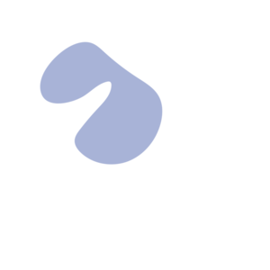 17518d66-placeholder-1770046675