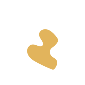 Bbcdcc2f-placeholder-1770006215