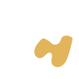 9904cd8a-placeholder-1770011250