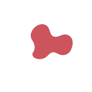 570fade3-placeholder-1770013785