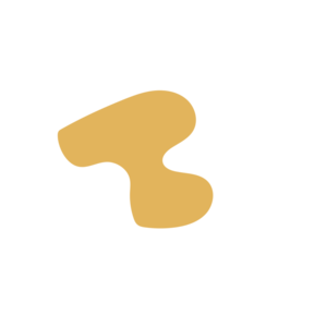 632a578f-placeholder-1770055638