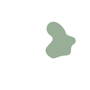 99b24079-placeholder-1770054272