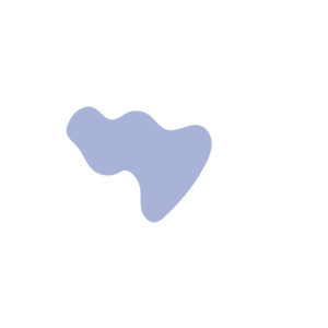 054fbbc2-placeholder-1770026835