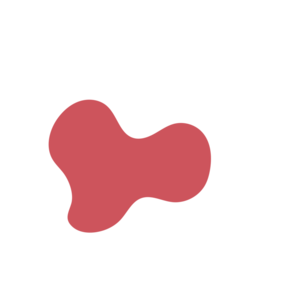 Ff054a9e-placeholder-1770013344