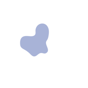 F3db95bf-placeholder-1769019474