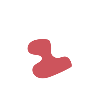 A96a1578-placeholder-1769101787