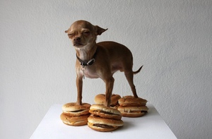 Margewaggs-1662240724