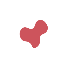 B452bfc2-placeholder-1770029379