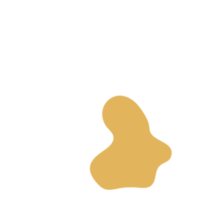 447f5a56-placeholder-1770061446