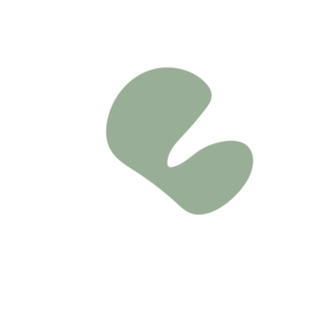 6877c85d-placeholder-1770025752