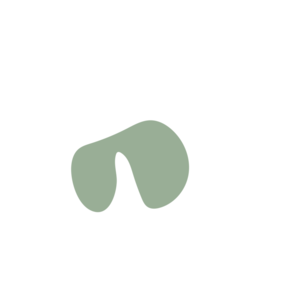 7bc53018-placeholder-1770022396