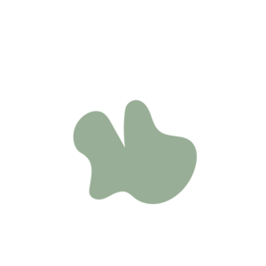 6feec6ef-placeholder-1770013816