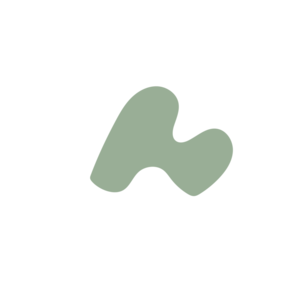 Bac26c9e-placeholder-1770008133