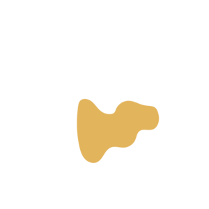 6f760a05-placeholder-1770009788