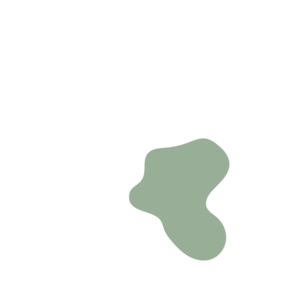 4bf03902-placeholder-1770052004