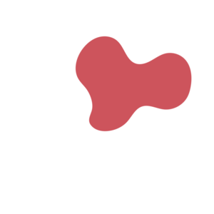 2ae77abd-placeholder-1770021274