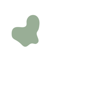 F0349b97-placeholder-1770011667