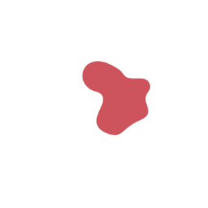 B1f49297-placeholder-1770028184