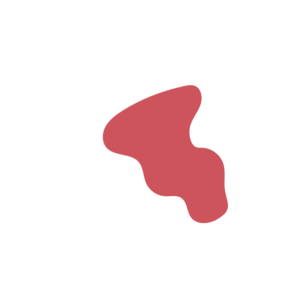 F68628a6-placeholder-1770005134