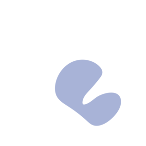 2ae92655-placeholder-1770032482