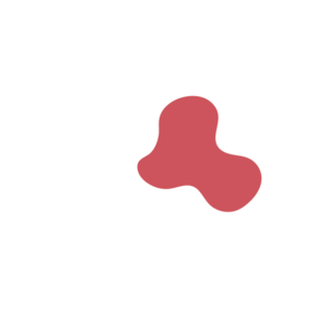 370fb2b3-placeholder-1770012695